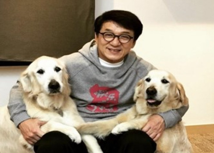 Mencengangkan! Kisah Jackie Chan dari Tak Punya Harta Menjadi Jutawan Bergelimang Harta