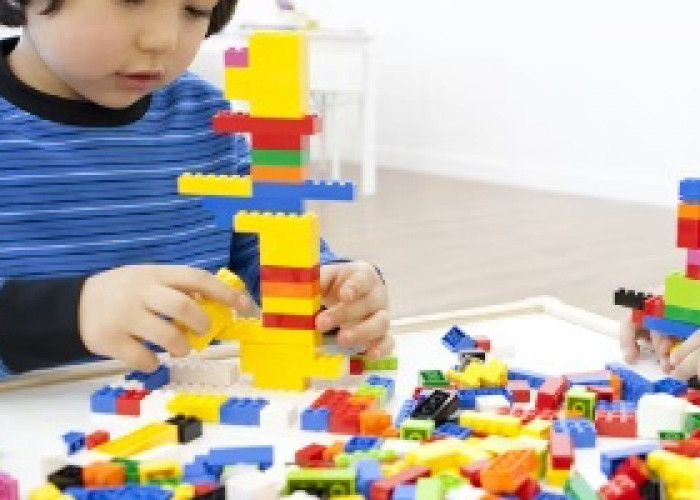 Bermain LEGO, Pengasahan Daya Ingat Anak Melalui Kreativitas