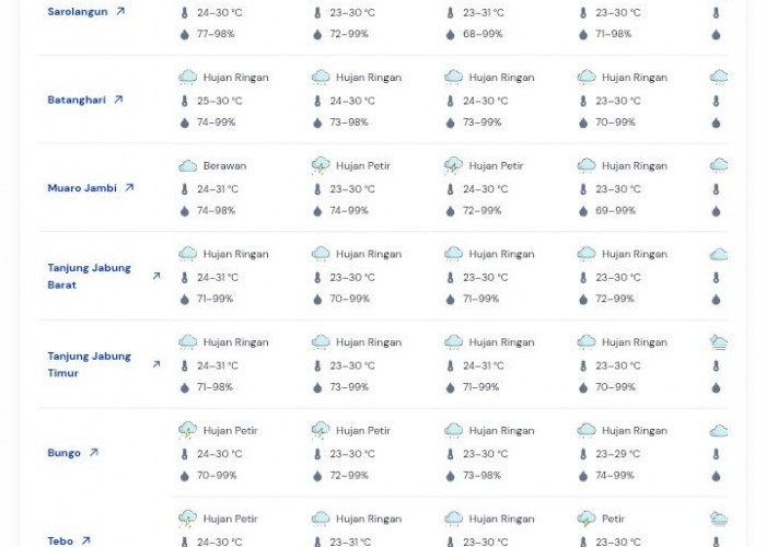 Hujan Ringan Dominasi Cuaca Jambi, Waspada Petir di Sejumlah Wilayah pada 14 April