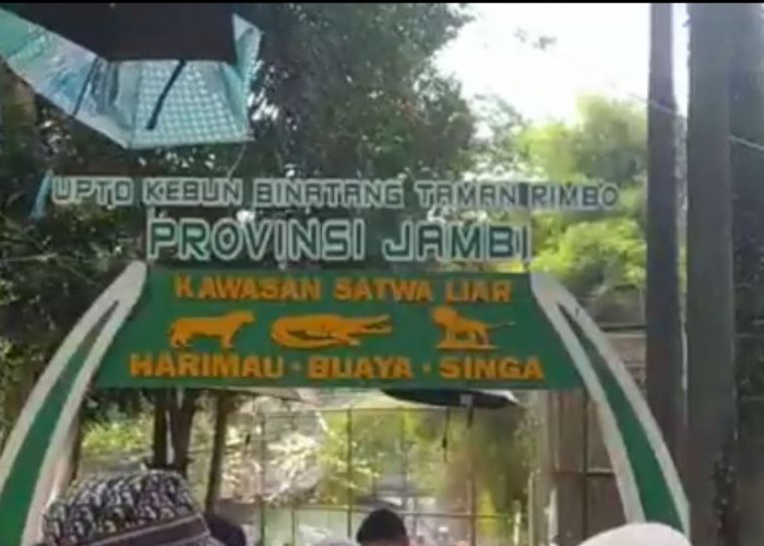 6000 Pengunjung Padati Kebun Binatang Taman Rimbo Jambi
