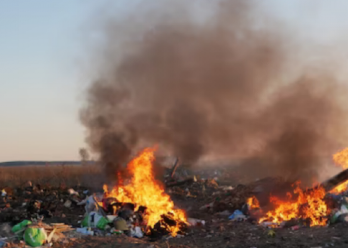 Dampak Pembakaran Sampah terhadap Lingkungan dan Kesehatan