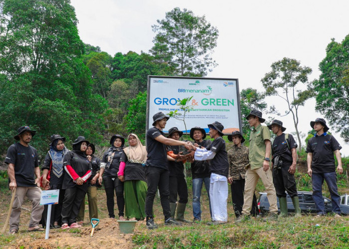 Pulihkan Hutan Bekas Tambang, Aksi Nyata Kelompok Tani Selamatkan Lingkungan Bersama BRI Menanam-Grow