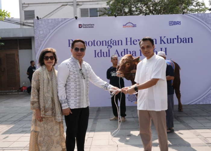 Semangat Berbagi Idul Adha 1446 H, Bapekis dan Karyawan BRI Salurkan 961 Hewan Kurban untuk Masyarakat