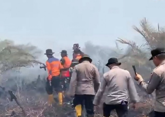 Satgas Karhutla Jambi Catat 144 Hotspot, 4.267 Hektare Lahan Terbakar