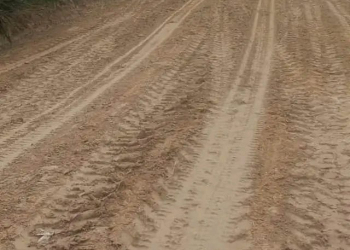 PTPN IV Perbaiki Jalan Desa 12 Kilometer di Muaro Jambi, Permudah Akses 1.750 KK