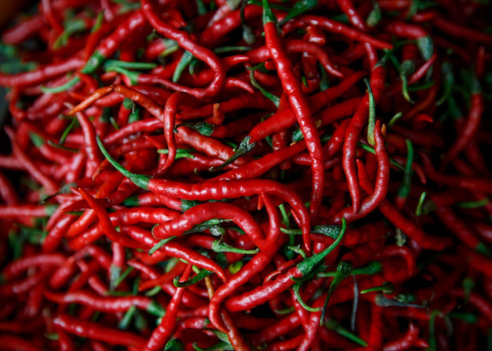 Harga cabai rawit Rp57.250/kg, telur ayam Rp28.600/kg