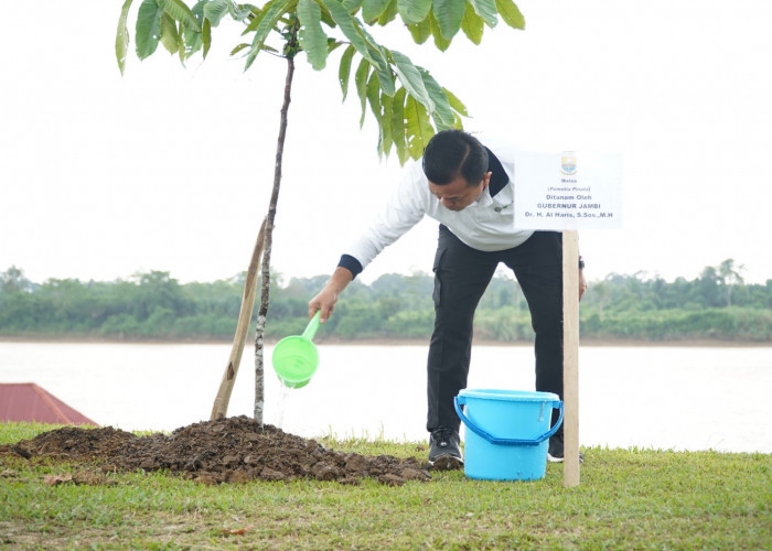 Gubernur Al Haris Kampanyekan Gerakan Penanaman Pohon Serentak