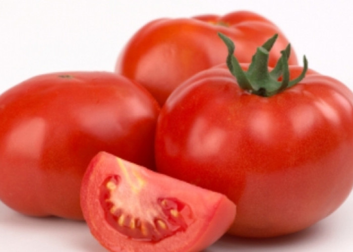 Di Balik Harganya yang Murah, Ternyata Tomat Memiliki Kaya Akan Manfaat