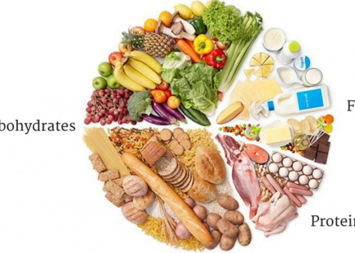 Tips Hidup Sehat yang Mudah Diterapkan dalam Kehidupan Sehari-hari