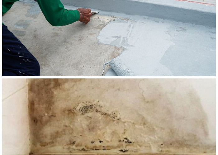 Anti Ribet! 5 Tips Ampuh Mengatasi Tembok Rembes Air Tanpa Renovasi Besar