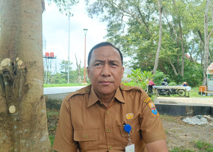 Taman Mini Melayu Jambi Dihidupkan Kembali Lewat Program Jambi Elok Nian