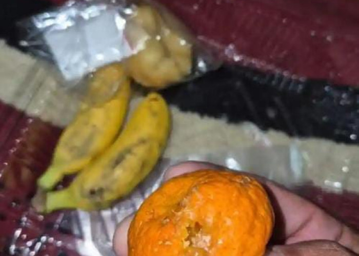 Program MBG di Jambi Disorot, Siswa di Kerinci Diduga Terima Jeruk Busuk dan Donat Keras
