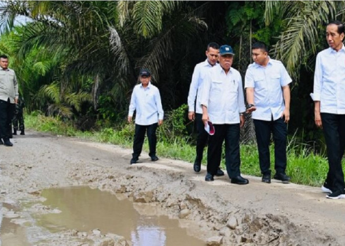 Selain di Jambi, Presiden Jokowi Sampaikan Jalan Produksi Sumatera Utara Turut Rusak