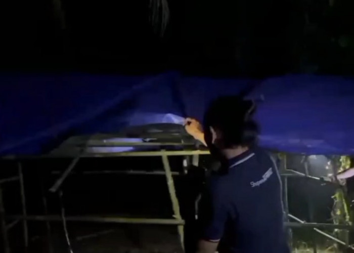 Pondok Diduga Jadi Tempat Penyalahgunaan Narkotika di Kebun Sawit Dimusnahkan Polisi