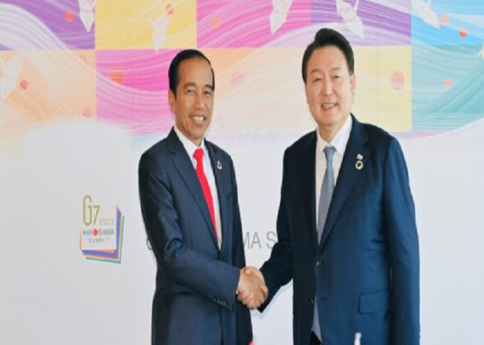 Presiden Jokowi Bahas Investasi dengan Presiden Korea Selatan, Hingga Soal IKN