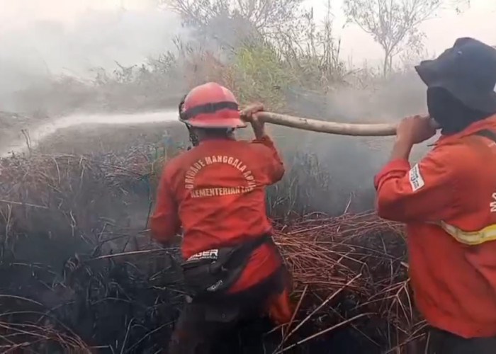 Kebakaran Hutan Gambut di TNBS Meluas, Petugas Berjibaku Padamkan Api