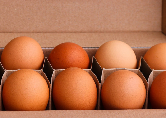 Sumber Protein yang Melimpah, Inilah 6 Manfaat Mengkonsumsi Telur Secara Teratur