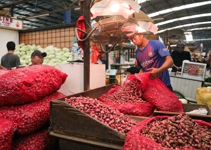 Perkembangan Harga Bawang di Kota Jambi Relatif Stabil dan Terkendali