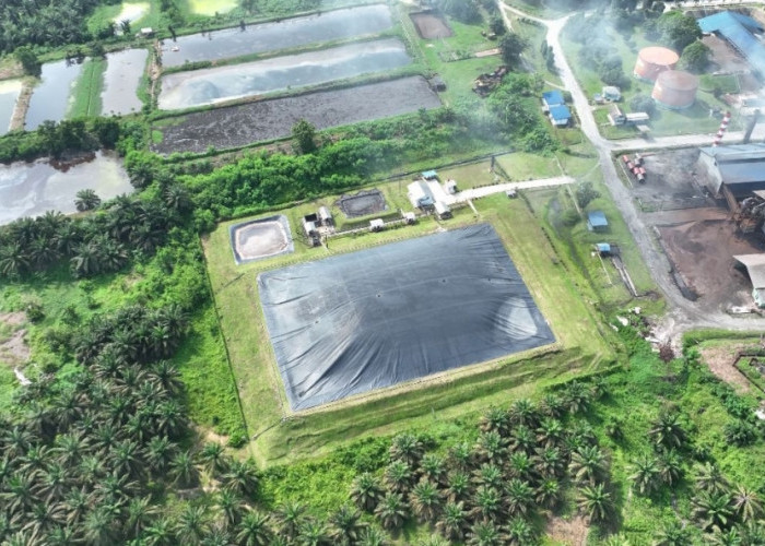 PTPN IV: Rp150 Ribu Bisa Beli Karbon Selamatkan Lingkungan