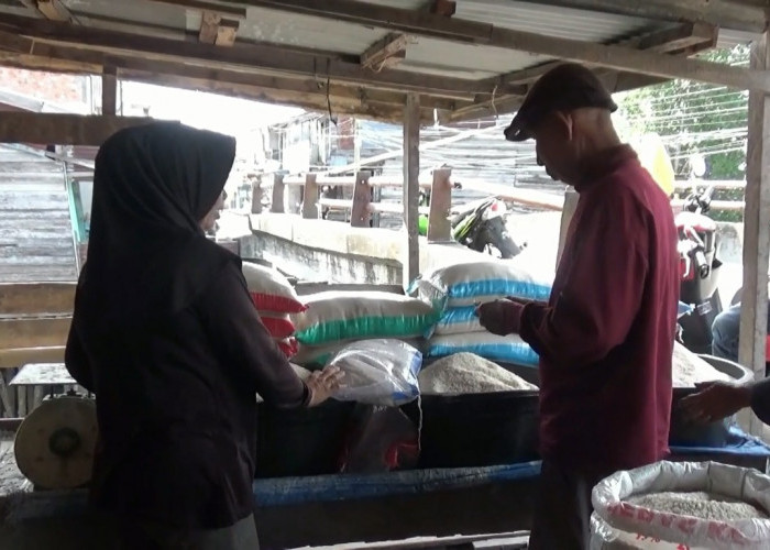 DKP Tanjab Barat Siapkan 24 Ton Cadangan Beras untuk Penanganan Bencana  