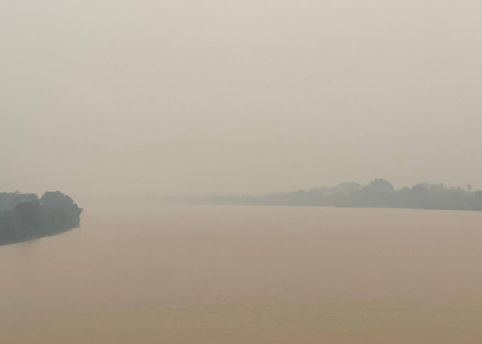 Kabut Asap Melanda, Kasus ISPA di Jambi Capai 7.824 Kasus
