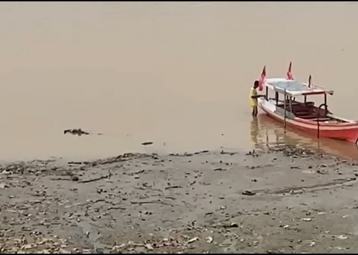 Dampak Kemarau, Ketinggian Air Sungai Batanghari Surut hingga 7,43 Meter 
