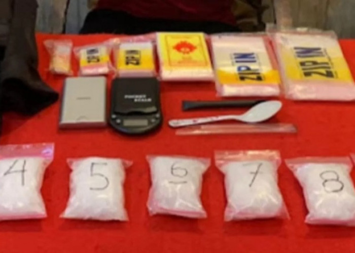 Tergiur Upah Rp8 Juta, Satres Narkoba Polresta Jambi Ringkus Pengedar Sabu