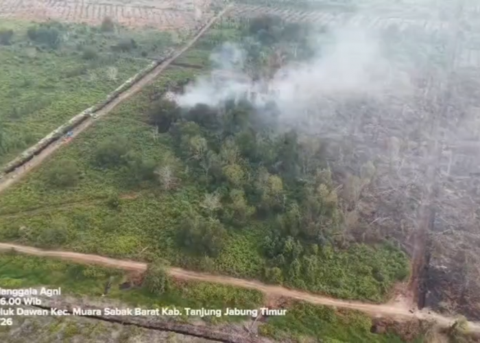 Belasan Hari Karhutla di HLG Londerang, Tim Gabungan Fokus Padamkan Kepala Api