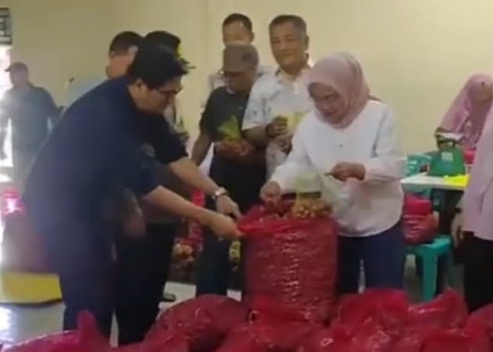 PJ Wali Kota Jambi Cek Bawang Merah Yang di Datangkan dari Brebes 