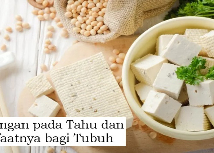 Kandungan pada Tahu dan Manfaatnya bagi Tubuh