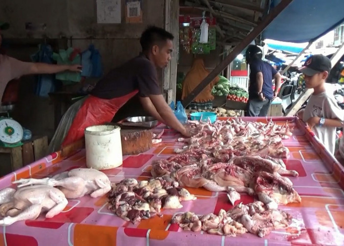 Harga Ayam Potong di Kuala Tungkal Turun Menjadi Rp33 Ribu per Kilogram