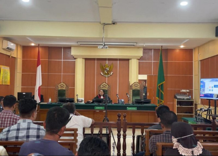 Sidang Praperadilan Ardiansyah Terkait Dugaan Pencurian Buah Sawit Digelar di Pengadilan Negeri Jambi