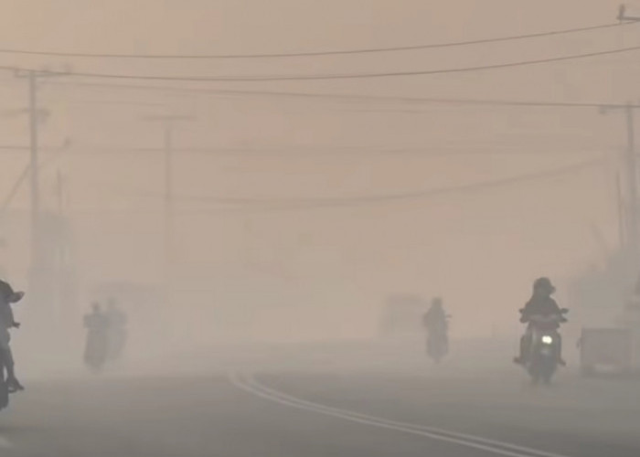 Ribuan Hotspot Karhutla Kalimantan Picu Kabut Asap Pekat, Kualitas Udara Pontianak Terburuk se-Indonesia