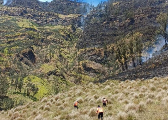 Ancaman Kebakaran Bromo: Puncak Seruni Point Ditutup Sementara Mulai Rabu Malam