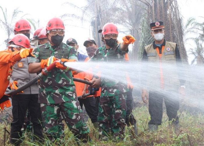 Kasad TNI Tinjau Penanganan Karhutla di Jambi