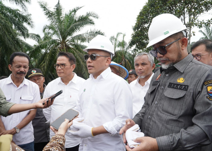 PTPN IV PalmCo Perluas Program Tanam Padi PTPN ke Provinsi Jambi