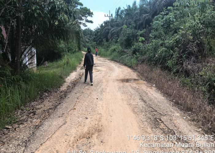 PEMKAB BATANG HARI PERBAIKI JALAN KABUPATEN SEPANJANG 1,7 KILOMETER DI DESA SINGKAWANG