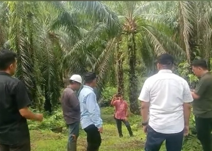 Manajemen PTPN IV Regional IV Pastikan Jaga Keseimbangan Alam