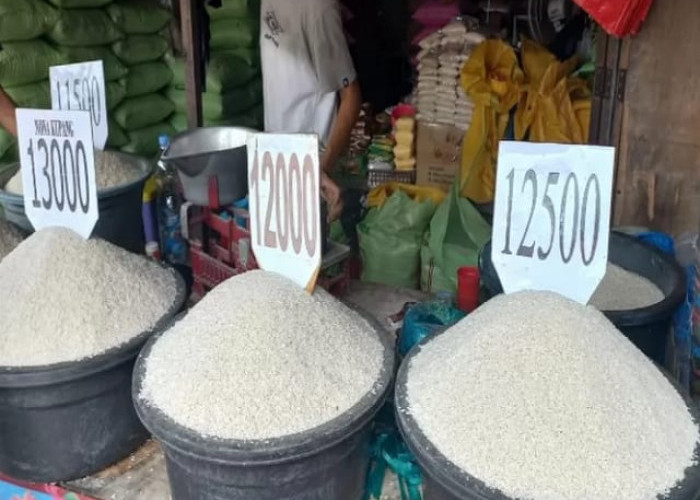 Update Harga Beras di Kota Jambi Cenderung Stabil di Pasar Tradisional