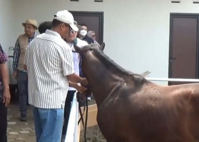 Pemprov Jambi Apresiasi Hadirnya RN Jambi Equestrian Center, Rumah bagi Para Pecinta Kuda