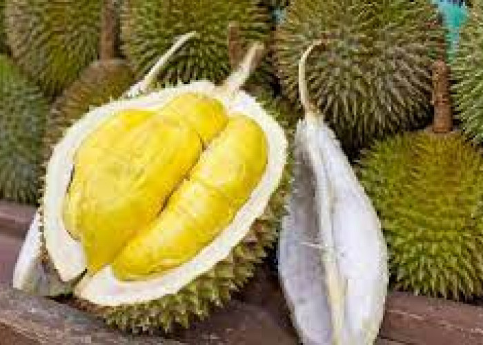 Musim Durian di Provinsi Jambi, Inilah 7 Manfaat Konsumsi Buah Durian untuk Kesehatan