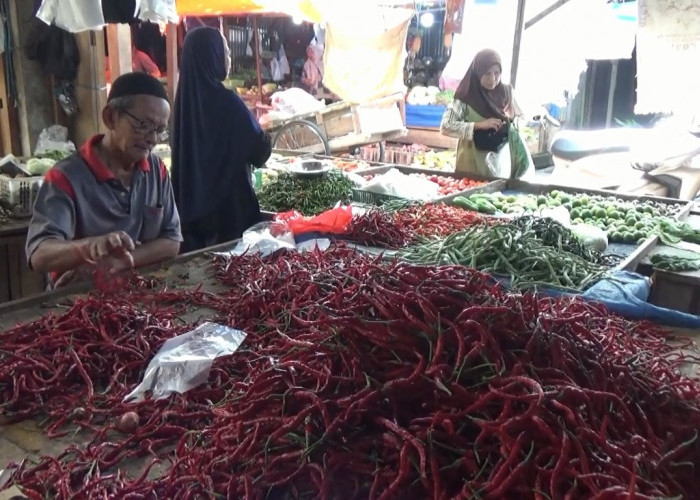 Pasokan Melimpah, Harga Cabai di Kuala Tungkal Turun hingga Rp38 Ribu per kilogram 