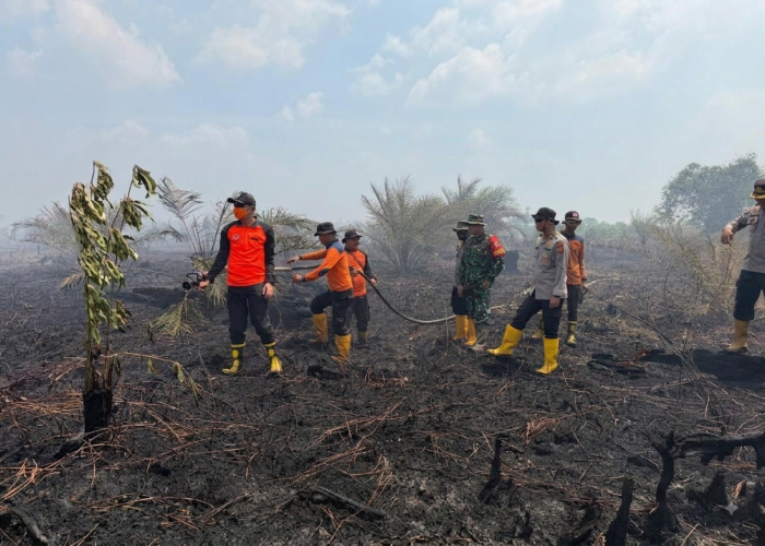 Kebakaran Hutan dan Lahan Meluas, 8 Kabupaten di Jambi Tetapkan Status Siaga Darurat