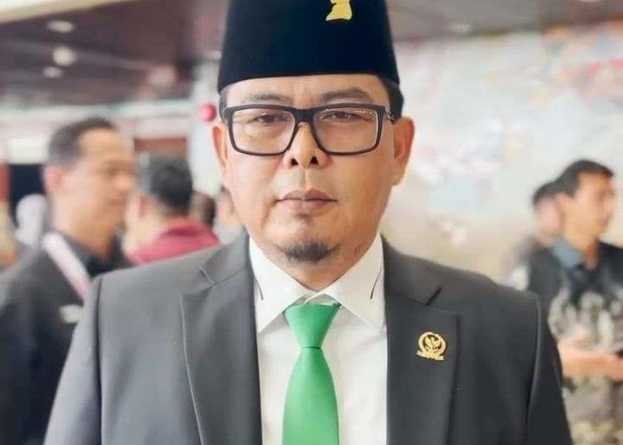Dukung Wacana Evakuasi Warga Gaza ke Indonesia, Anggota BKSAP DPR RI Elpisina Beri Tanggapannya
