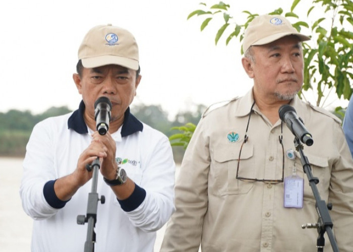 Staf Ahli Menteri Lingkungan Hidup Nyatakan Jambi Jadi Contoh Gerakan Tanam Pohon Serentak