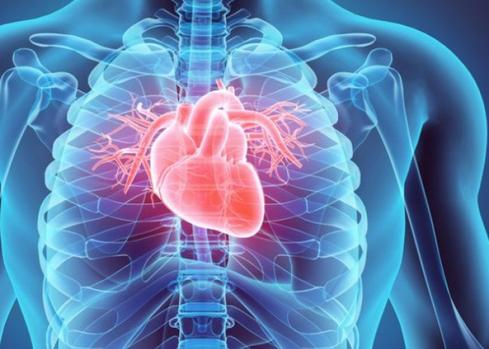 Menjaga Kesehatan Jantung di Usia 20 Tahun ke Atas, Begini Caranya