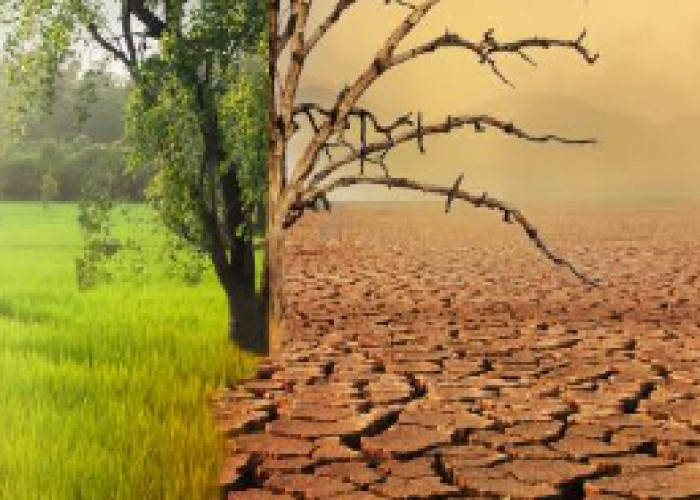 7 Perubahan Iklim dan Dampaknya terhadap Lingkungan