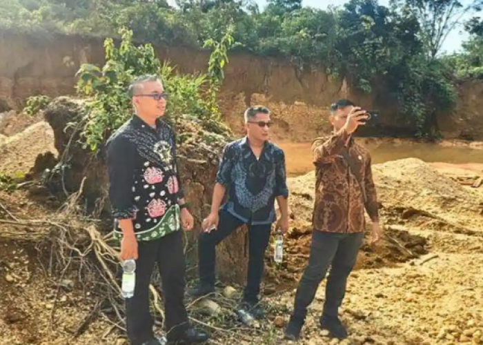 Aset Tanah Pemkab Merangin Digarap OTK untuk Tambang Emas Ilegal, 1,5 Hektare Rusak  