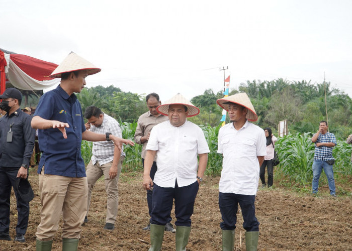 PTPN IV Regional 4 dan Polda Jambi Tanam Jagung Bersama