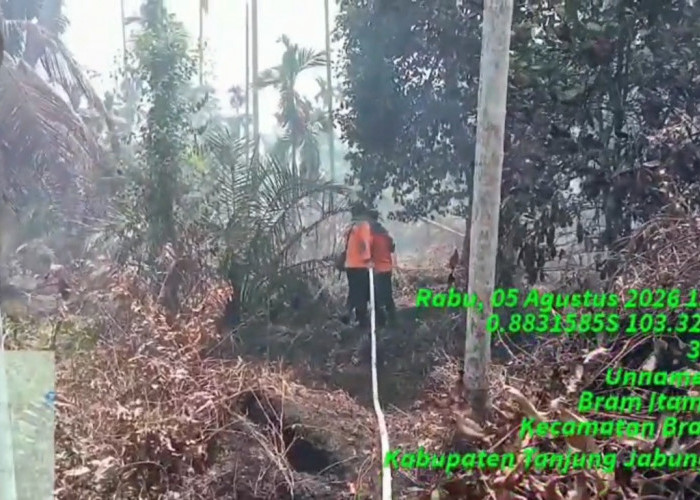 Kasus Karhutla, BPBD Sebut 296,7 Hektare Lahan Terbakar hingga 1 September